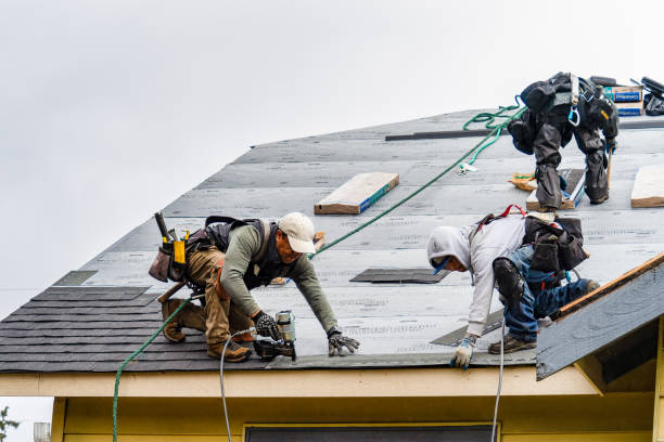 Professional Roofing technician working in Lewisville, PA